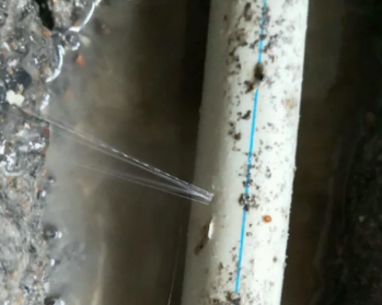 泰来卫生间测漏水多少钱