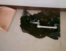 泰来卫生间测漏水多少钱